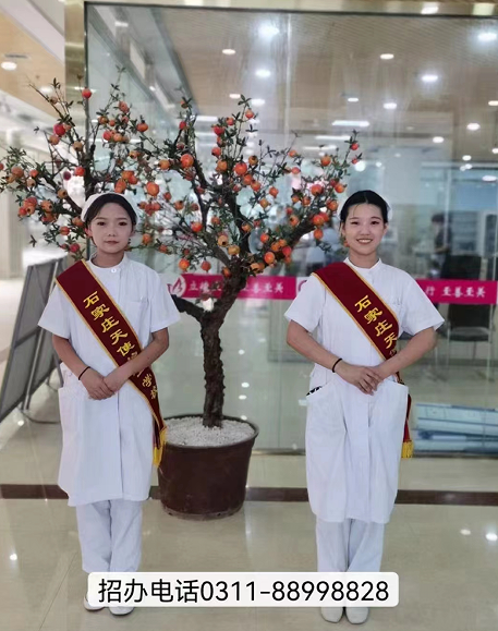 石家莊天使護士學校2024年春季招生對象是什么？