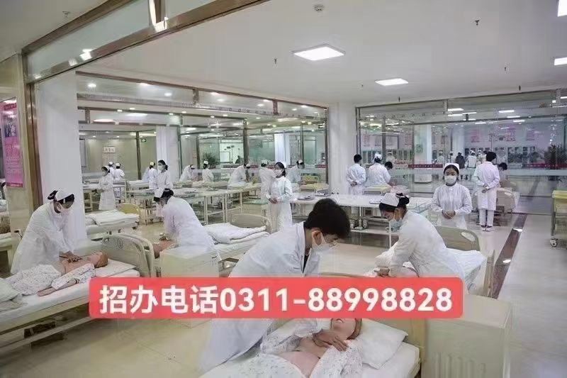 2024年石家莊天使護(hù)士學(xué)校招生簡章，開啟醫(yī)護(hù)夢想的新征程！