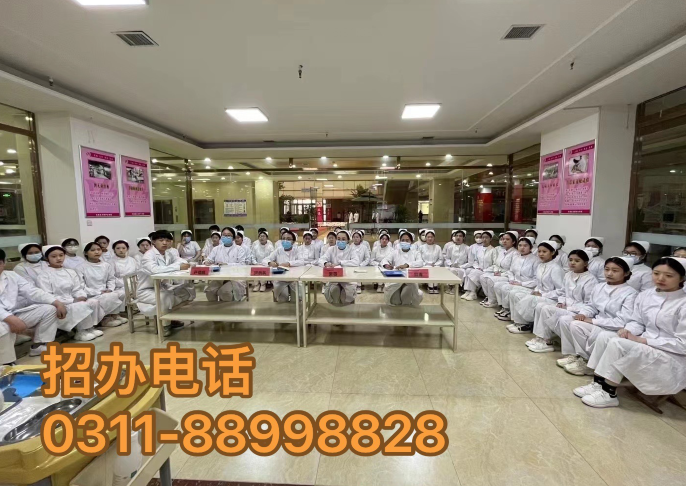 開啟護(hù)理之門，2024年春季石家莊天使護(hù)士學(xué)校招生簡章全解